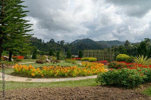 View Of The Garden With Multiple Color Of Flower And Trees