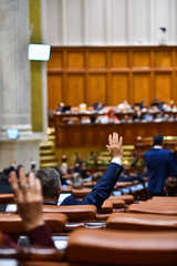 Hand raised in the air during a voting procedure