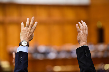 Hand raised in the air during a voting procedure