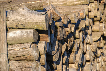 Logs of firewood