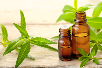 Lemon Verbena essential oil and leaves on the wooden board
