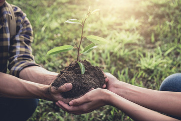 Young couple carrying a seedlings to be planted into the soil in the garden as save world concept, nature, environment and ecology