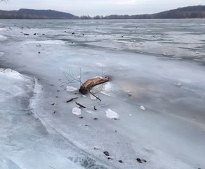 frozen Potomac river in rural Maryland
