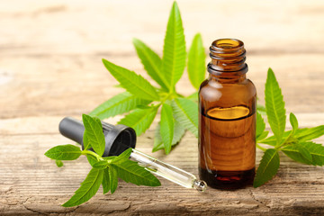 Lemon Verbena essential oil and leaves on the wooden board