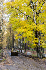 Naklejka premium Pekhorka Eco Park