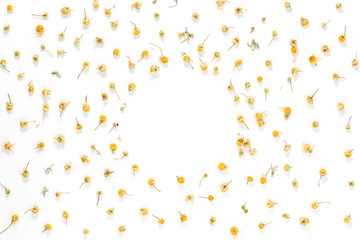 Dried yellow camomile tea background.