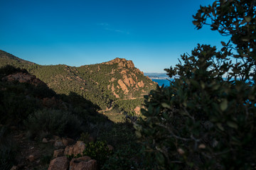 Massif de l'Esterel mit rotem Porphyr Gestein und Kiefern