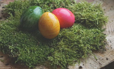 colored real easter eggs on real green moss