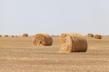 Endless fields of hay bails