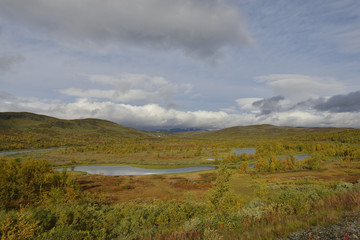Obraz premium Auf der Wildnisstraße (schwedisch Vildmarksvägen) entlang der Schwedisch-norwegischen Grenze 