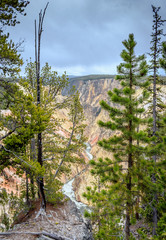 Grand Canyon of the Yellowstone