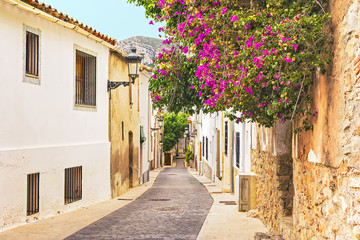 Fototapeta na wymiar Picturesque old narrow street in a small Mediterranean town, Spain