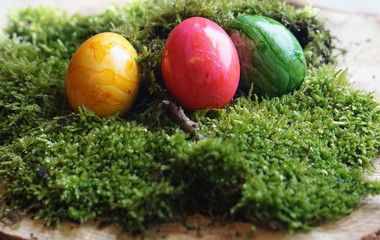 colored real easter eggs on real green moss