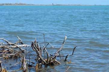 Balkhash lake, central Kazakhstan
