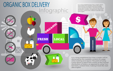 Organic food box delivery infographic concept