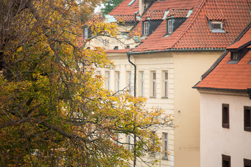 Obraz premium Traditional architecture in the city of Prague, Czech Republic