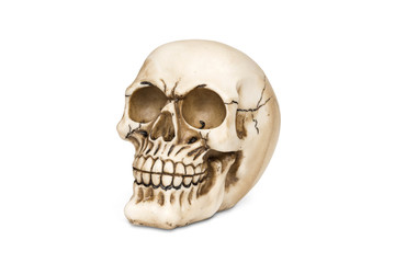 Human skull isolated over white with clipping path
