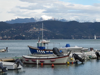 Fototapeta na wymiar bateau de pêche dans le port de Portovenere, Italie