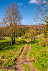 Naklejka premium countryside road through rural area in mountains. lovely springtime scenery