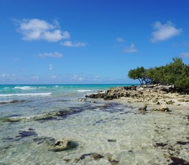 Strand auf Cayo Coco, Jardines Del Rey auf Kuba | Karibik