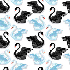 swan couple pattern vector illustration.