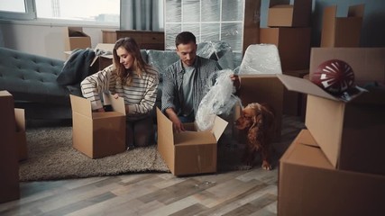 Newlyweds considering products purchased. Guy taking out large plate from packing box. Spaniel looking carefully at hosts.