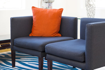 Living room interior. Navy woven fabric armchair sofa with a bright orange cushion pillow and animal print carpet rug.