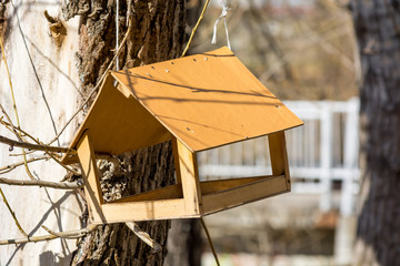 Feeder for squirrels hanging on tree in Park