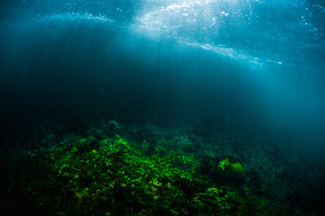 Fototapeta na wymiar Underwater view of the coral reef in a shore with breaking waves