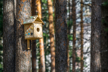 Beautiful bird feeder hanging on tree in Park