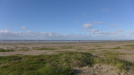 Fanø neue Dünenlandschaft, Dänemark