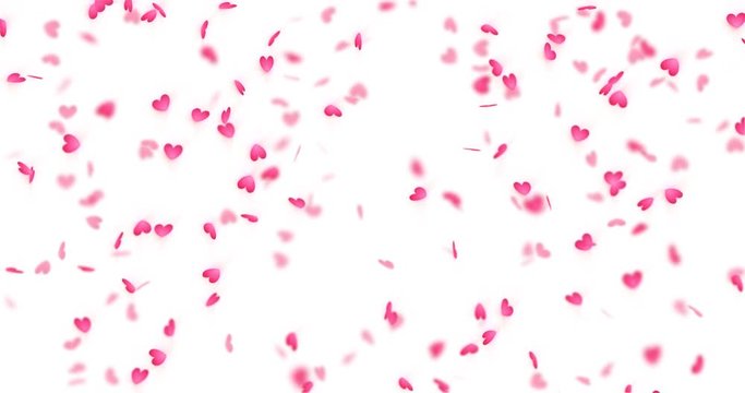 Hearts background, Valentine Day falling heart pink confetti on transparent backdrop. Saint Valentines greeting card motion design. Flower petal in shape of heart. Looped with Alpha for 4K