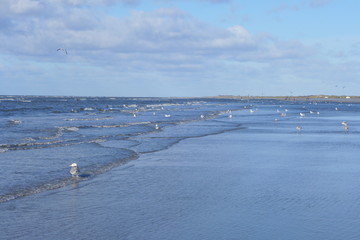 Fanø Strand, ablaufendes Wasser