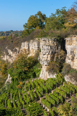 Hessigheimer Felsengärten