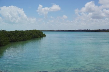 Mangroven Lagune auf Cayo Coco, Jardines Del Rey, Kuba, Karibik