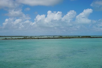 Mangroven Insel auf Cayo Coco, Jardines Del Rey, Kuba, Karibik 