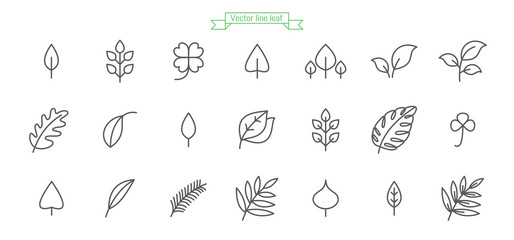 Leaf, foliage, line, icon, thin, simple, vector, set
