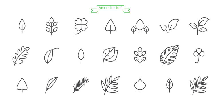 Leaf, Foliage, Line, Icon, Thin, Simple, Vector, Set