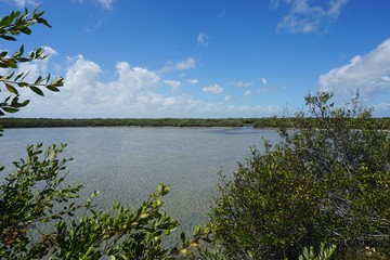 Lagune auf Cayo Coco, Jardines Del Rey auf Kuba, Karibik