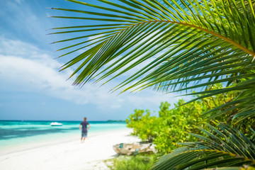 Fototapeta na wymiar Man stands on the tropical beach. Focus on the palm tree leaf. Maldives