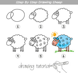 Step by step drawing Sheep