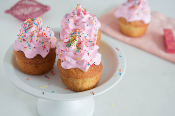 Valentine cupcakes. Holiday celebration concept. 