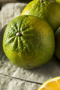 Raw Green Organic Ugli Fruit