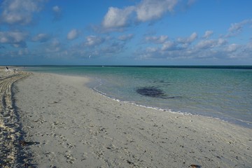 Cayo Coco, Jardines Del Rey auf Kuba | Karibik