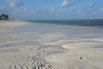 Cayo Coco, Jardines Del Rey auf Kuba | Karibik