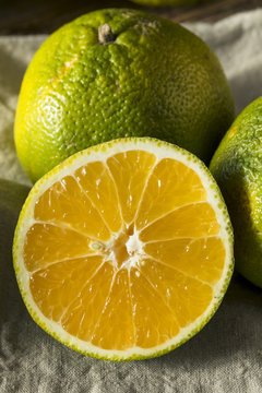 Raw Green Organic Ugli Fruit