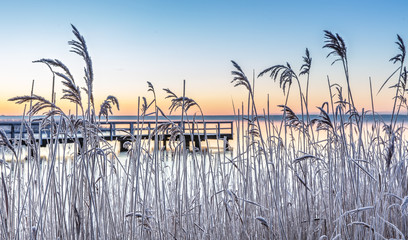 winter auf dem darß