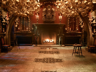 Bone clad living room and open fire 