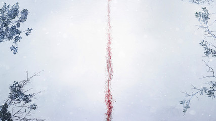 Blood like trail on snow covered ground 