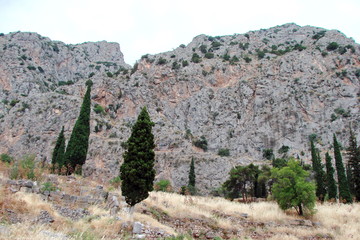 landscape of wild poor vegetation in the south of Greece on the background of rocky mountains.